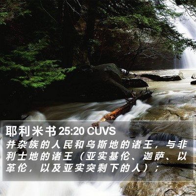 耶 利 米 书 25:20 CUVS Bible Verse Image