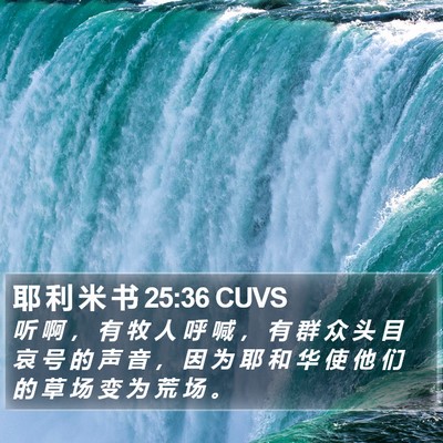 耶 利 米 书 25:36 CUVS Bible Verse Image