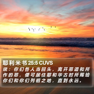 耶 利 米 书 25:5 CUVS Bible Verse Image