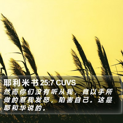 耶 利 米 书 25:7 CUVS Bible Verse Image