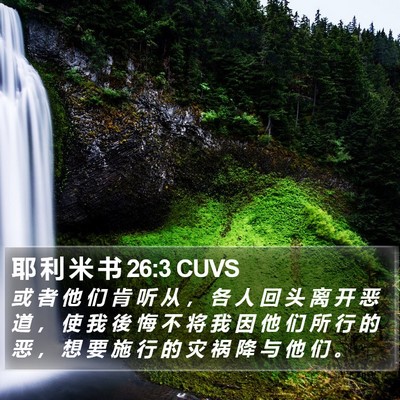 耶 利 米 书 26:3 CUVS Bible Verse Image