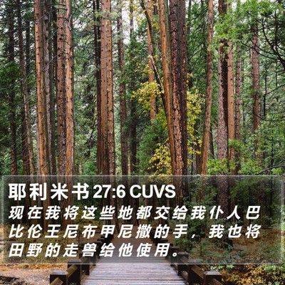 耶 利 米 书 27:6 CUVS Bible Verse Image