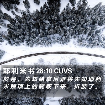 耶 利 米 书 28:10 CUVS Bible Verse Image