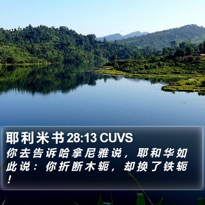 耶 利 米 书 28:13 CUVS Bible Verse Image