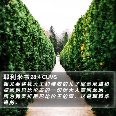 耶 利 米 书 28:4 CUVS Bible Verse Image