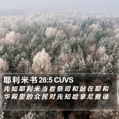 耶 利 米 书 28:5 CUVS Bible Verse Image