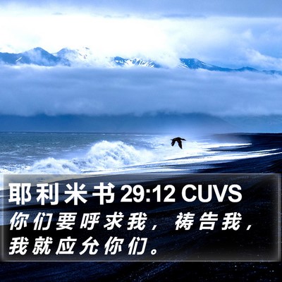 耶 利 米 书 29:12 CUVS Bible Verse Image