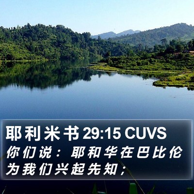 耶 利 米 书 29:15 CUVS Bible Verse Image