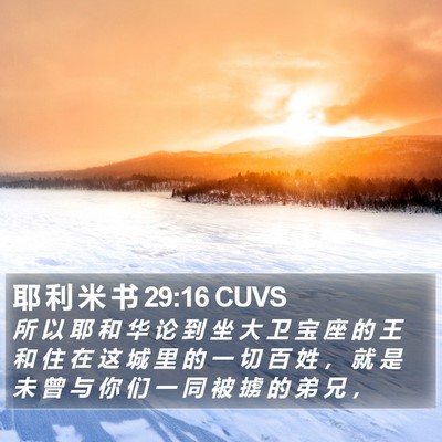 耶 利 米 书 29:16 CUVS Bible Verse Image