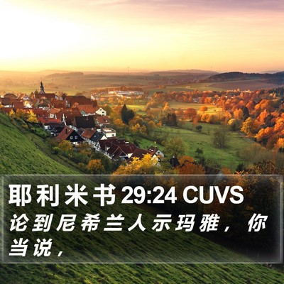 耶 利 米 书 29:24 CUVS Bible Verse Image