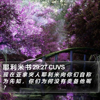 耶 利 米 书 29:27 CUVS Bible Verse Image
