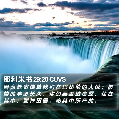 耶 利 米 书 29:28 CUVS Bible Verse Image