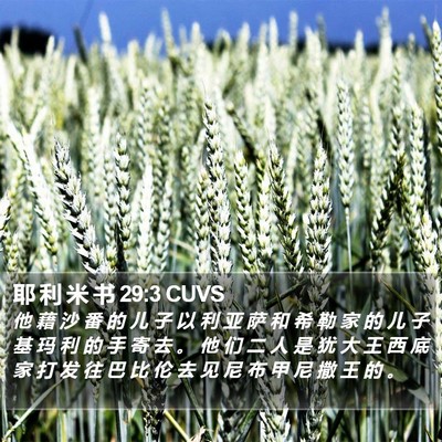 耶 利 米 书 29:3 CUVS Bible Verse Image