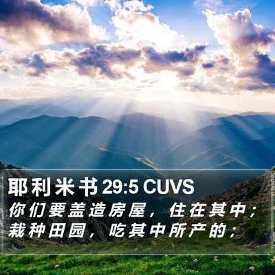 耶 利 米 书 29:5 CUVS Bible Verse Image