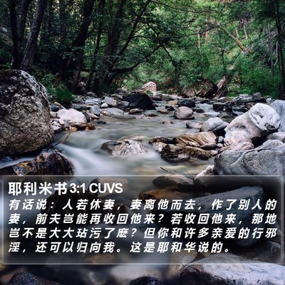 耶 利 米 书 3:1 CUVS Bible Verse Image