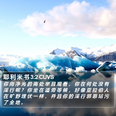 耶 利 米 书 3:2 CUVS Bible Verse Image