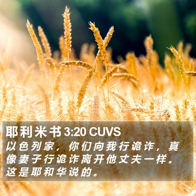 耶 利 米 书 3:20 CUVS Bible Verse Image