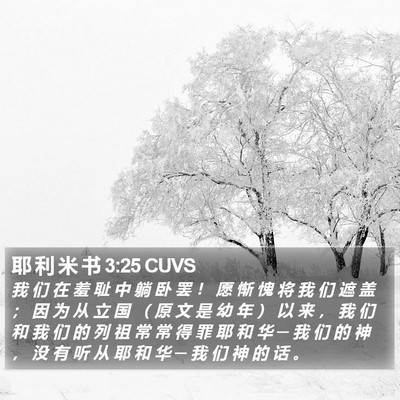 耶 利 米 书 3:25 CUVS Bible Verse Image