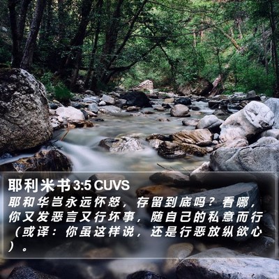 耶 利 米 书 3:5 CUVS Bible Verse Image
