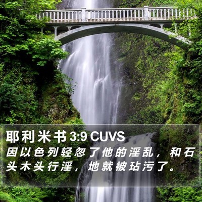 耶 利 米 书 3:9 CUVS Bible Verse Image