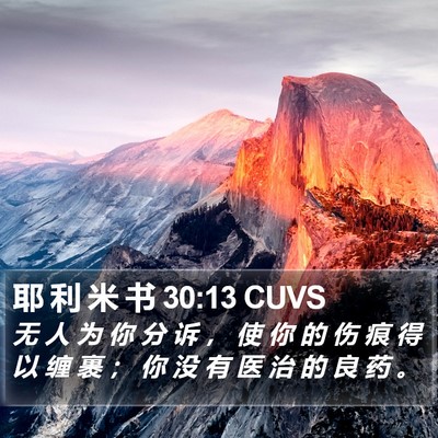 耶 利 米 书 30:13 CUVS Bible Verse Image
