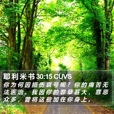 耶 利 米 书 30:15 CUVS Bible Verse Image