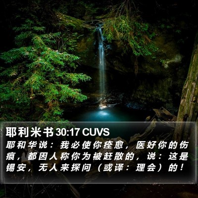 耶 利 米 书 30:17 CUVS Bible Verse Image