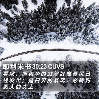 耶 利 米 书 30:23 CUVS Bible Verse Image