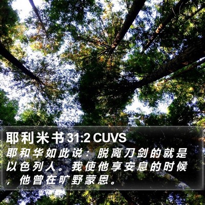 耶 利 米 书 31:2 CUVS Bible Verse Image