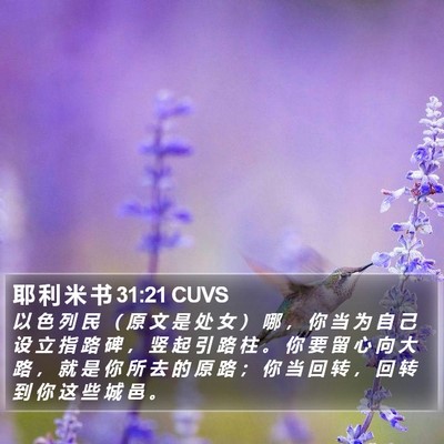 耶 利 米 书 31:21 CUVS Bible Verse Image