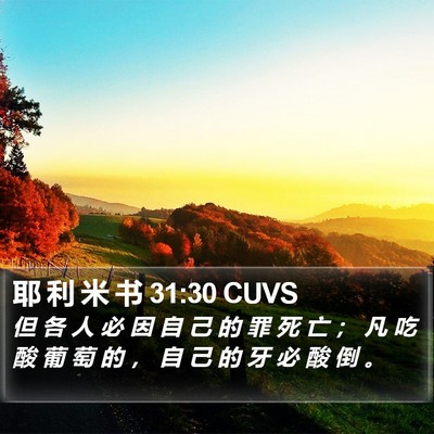 耶 利 米 书 31:30 CUVS Bible Verse Image