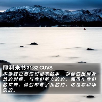 耶 利 米 书 31:32 CUVS Bible Verse Image