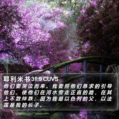 耶 利 米 书 31:9 CUVS Bible Verse Image