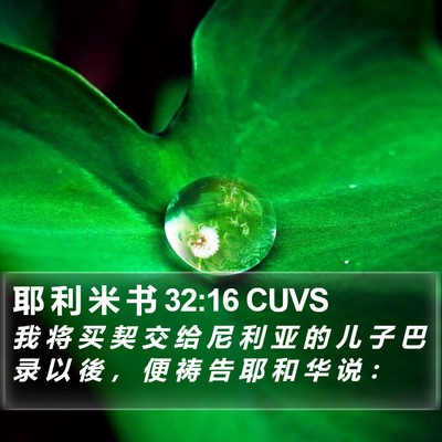 耶 利 米 书 32:16 CUVS Bible Verse Image