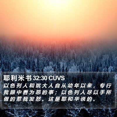 耶 利 米 书 32:30 CUVS Bible Verse Image