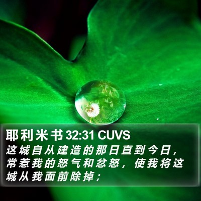 耶 利 米 书 32:31 CUVS Bible Verse Image