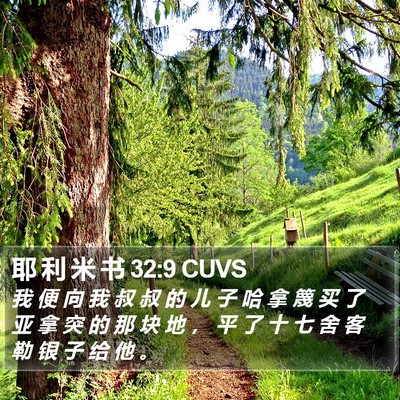 耶 利 米 书 32:9 CUVS Bible Verse Image