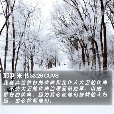耶 利 米 书 33:26 CUVS Bible Verse Image