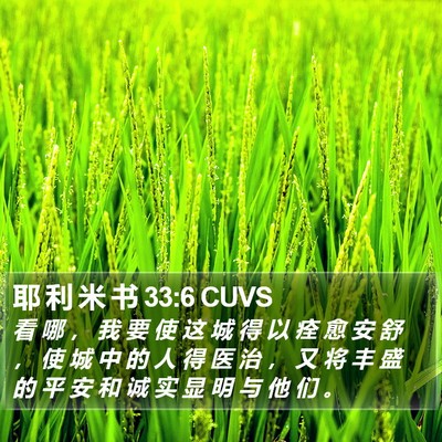 耶 利 米 书 33:6 CUVS Bible Verse Image