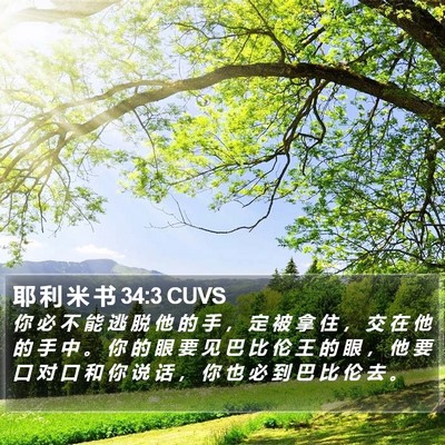 耶 利 米 书 34:3 CUVS Bible Verse Image