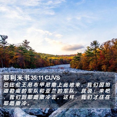 耶 利 米 书 35:11 CUVS Bible Verse Image
