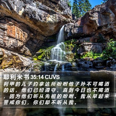 耶 利 米 书 35:14 CUVS Bible Verse Image