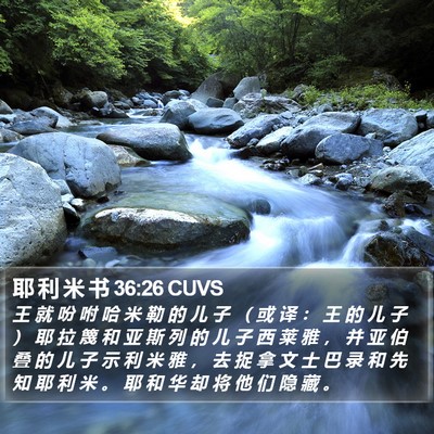 耶 利 米 书 36:26 CUVS Bible Verse Image