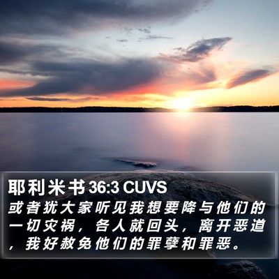 耶 利 米 书 36:3 CUVS Bible Verse Image