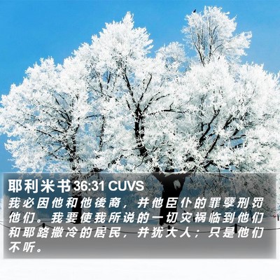 耶 利 米 书 36:31 CUVS Bible Verse Image