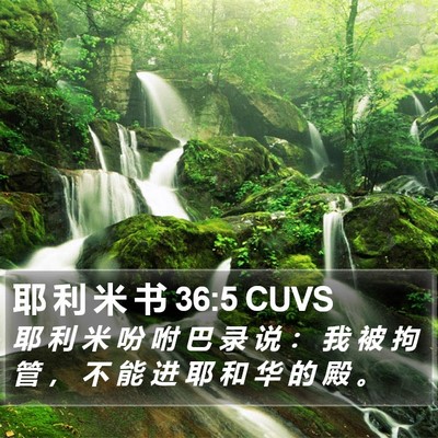 耶 利 米 书 36:5 CUVS Bible Verse Image