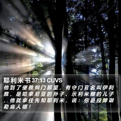 耶 利 米 书 37:13 CUVS Bible Verse Image