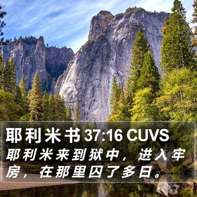耶 利 米 书 37:16 CUVS Bible Verse Image