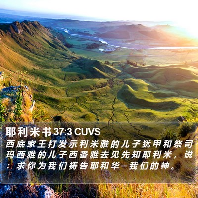 耶 利 米 书 37:3 CUVS Bible Verse Image
