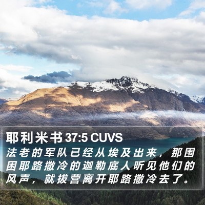 耶 利 米 书 37:5 CUVS Bible Verse Image
